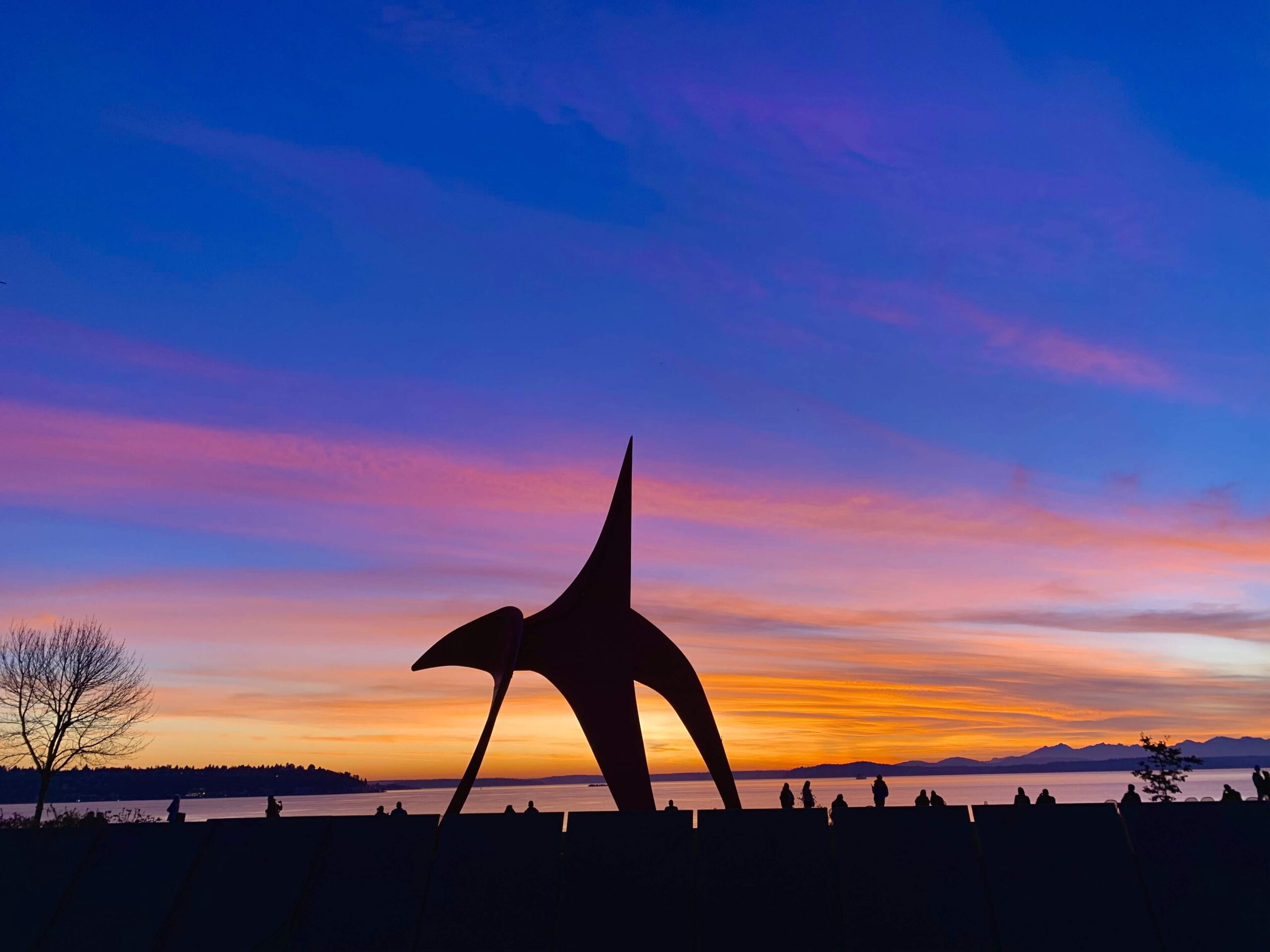 Seattle Public Parks in sunset